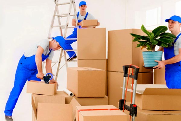 Ayasha Packers & Movers and Car Transportation